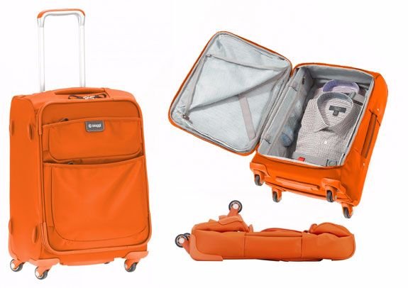 biaggi luggage reviews